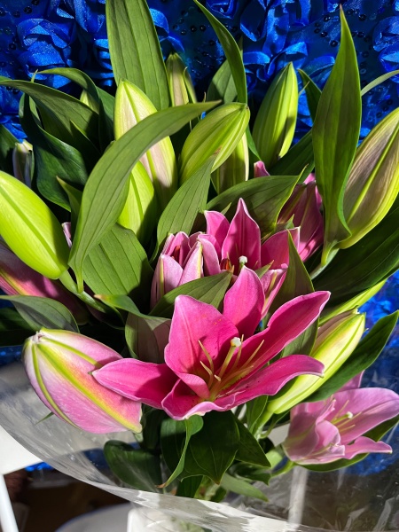 Flower and Roses for sale at the best prices at Micaela's Flowers & Party Supply