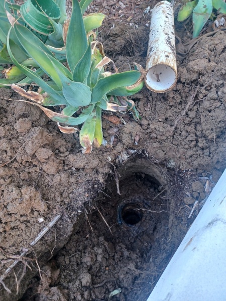 Premium Lawn Care Services Serving Los Angeles and Surrounding Areas | LANDSCAPE INSURED COMPANY!